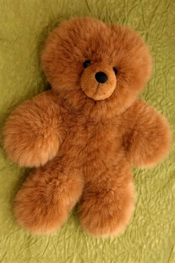 Bear plushie (1) Bear Plushie