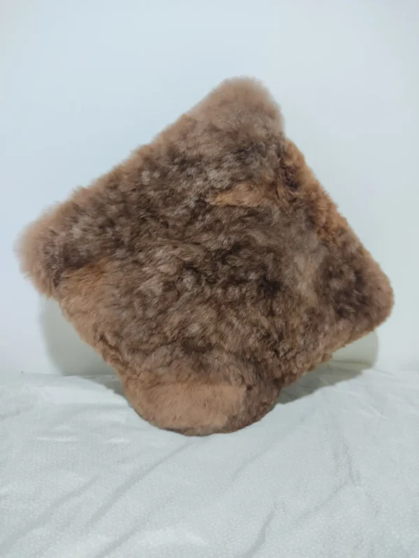 Andean Cloud Cushions