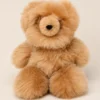 Beige Plushie Bear